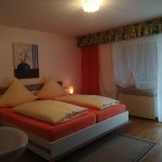Zimmer mit Terrasse Nr 1