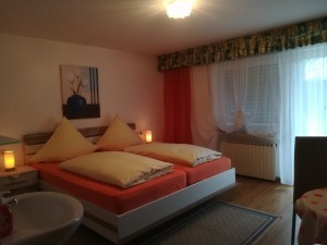 Zimmer mit Terrasse Nr 1